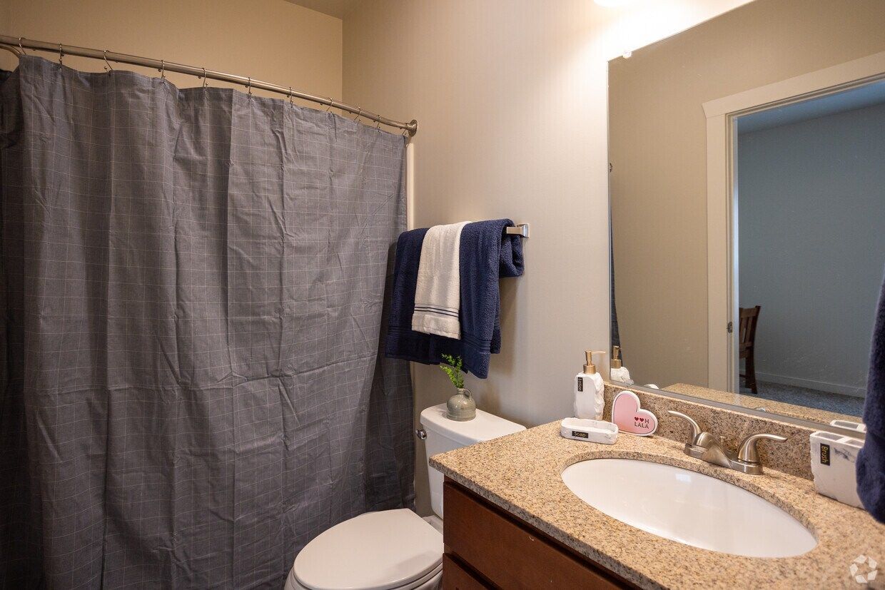 Bathroom with a granite vanity and a tub-shower